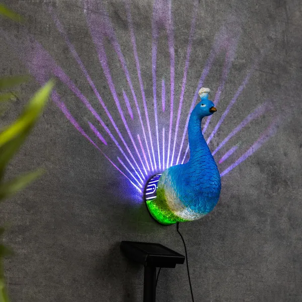 Haushalt International LED Solární nástěnná dekorace Páv