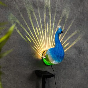 Haushalt International LED Solární nástěnná dekorace Páv
