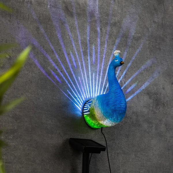 Haushalt International LED Solární nástěnná dekorace Páv