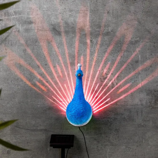 Haushalt International LED Solární nástěnná dekorace Páv