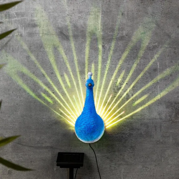 Haushalt International LED Solární nástěnná dekorace Páv