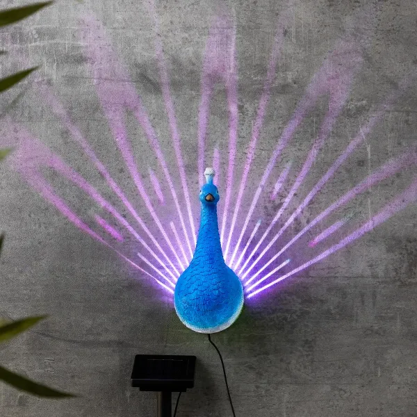 Haushalt International LED Solární nástěnná dekorace Páv