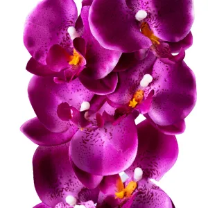 Weltbild Umělá orchidej, fialová