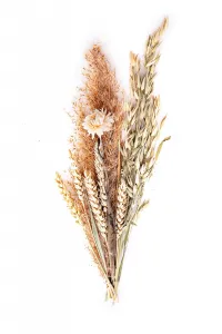 Weltbild Kytice ze sušených květin Natural