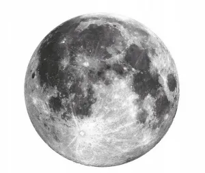 Dekoračnánálepkanastenumesiac71cm45389