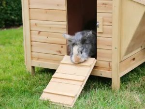 Králikáreň KERBL HUTCH XXL VARIO