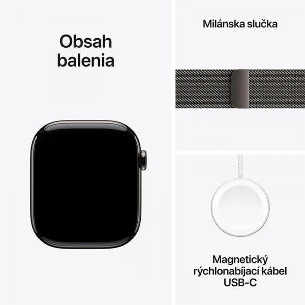 Apple Watch S11 Cell/46/Elegant Band/Slate