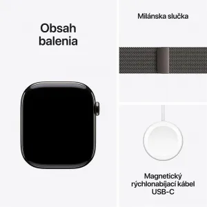 Apple Watch S11 Cell/46/Elegant Band/Slate