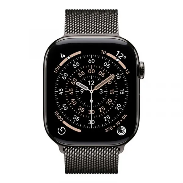 Apple Watch S11 Cell/46/Elegant Band/Slate
