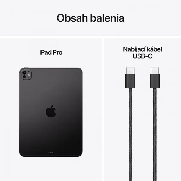 Apple iPad Pro 11" (M5)/Wi-Fi/11"/2420x1668/16GB/2TB/iPadOS/Space Black