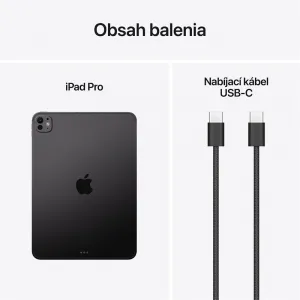Apple iPad Pro 11" (M5)/Wi-Fi/11"/2420x1668/16GB/2TB/iPadOS/Space Black