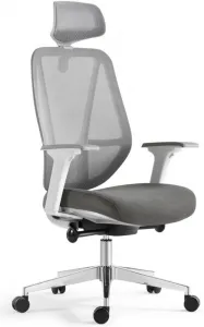MERCURY Ergonomická kancelárska stolička AFRODITE sivá