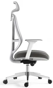 MERCURY Ergonomická kancelárska stolička AFRODITE sivá