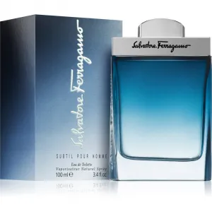 Ferragamo Subtil Pour Homme toaletná voda pre mužov 100 ml