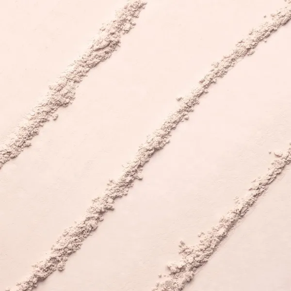 Eisenberg Poudre Libre Effet Floutant & Ultra-Perfecteur zmatňujúci sypký púder pre dokonalú pleť odtieň 01 Translucide Neutre / Translucent Neutral 7