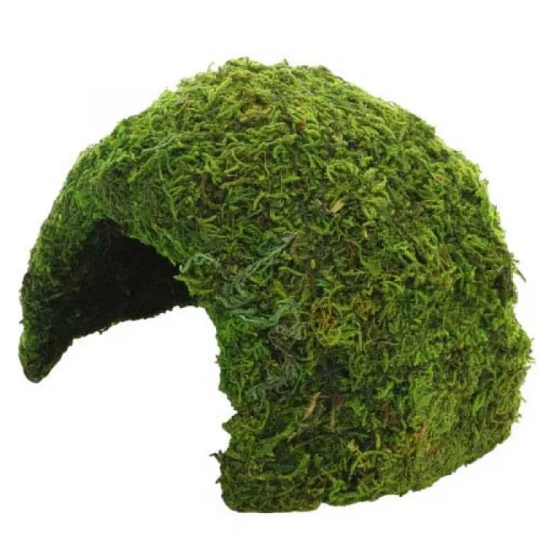 HOBBY Jungle Cave 1 skrýša pre terarijné zvieratá 11 x 11 x 9 cm