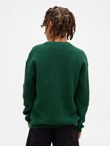 GAP Children's Sweater CashSoft - Boys