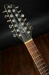 Godin 1999 A12 Black