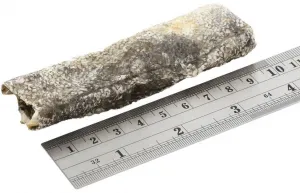 FISH4DOGS Maškrty pre psov DENTAL SEA morská ryba - prúžky 500 g