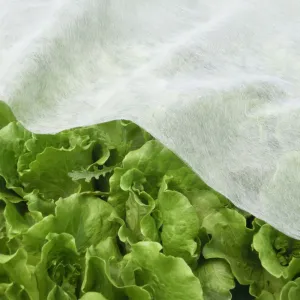 Záhradná agrotextília, 2x10 m, 30 g, biela, TIARA TYP 1