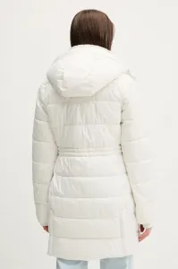 Bunda Hollister Co.