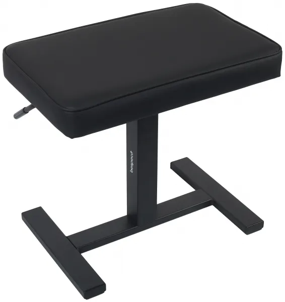Bespeco SG60NP