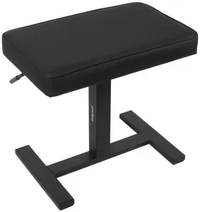 Bespeco SG60NP