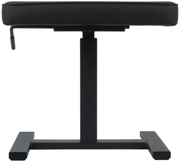 Bespeco SG60NP