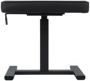 Bespeco SG60NP