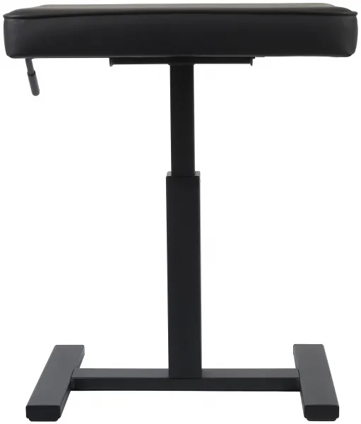 Bespeco SG60NP
