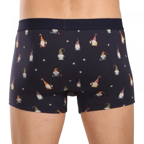 2PACK pánske boxerky Atlantic viacfarebné (2GMH-019) M, trenky