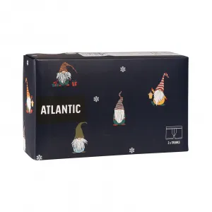 2PACK pánske boxerky Atlantic viacfarebné (2GMH-019) M, trenky