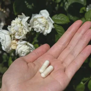 Tremella s vitamínom C Hrotlife 90 kapsúl