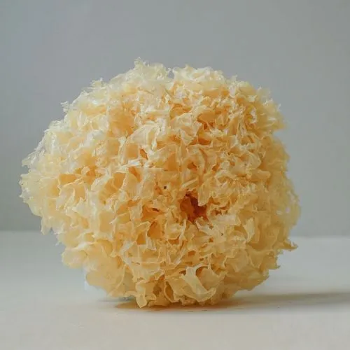 Tremella s vitamínom C Hrotlife 90 kapsúl