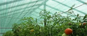JAKS Tieniaca sieť antracitová 135 g, 90 % tieň Rozmery: 2 m x 50 m