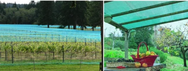 JAKS Tieniaca sieť antracitová 135 g, 90 % tieň Rozmery: 2 m x 50 m