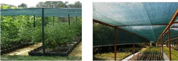 JAKS Tieniaca sieť antracitová 135 g, 90 % tieň Rozmery: 2 m x 50 m