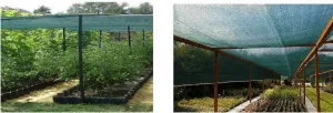 JAKS Tieniaca sieť antracitová 135 g, 90 % tieň Rozmery: 2 m x 50 m