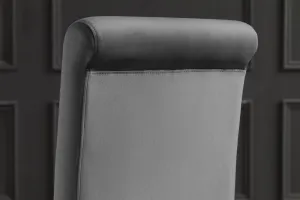 Jedálenská stolička 2 ks ZETHOS Dekorhome