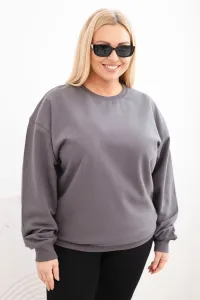 Legínovo Dámska plus size bavlnená mikina basic s okrúhlym výstrihom béžová Farba: Modrá, Veľkosť: XL