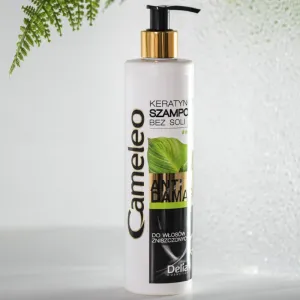 Delia Cosmetics Cameleo BB keratínový šampón pre poškodené vlasy 250 ml