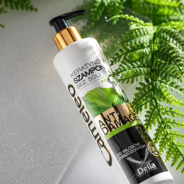 Delia Cosmetics Cameleo BB keratínový šampón pre poškodené vlasy 250 ml