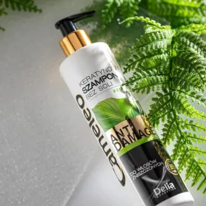 Delia Cosmetics Cameleo BB keratínový šampón pre poškodené vlasy 250 ml