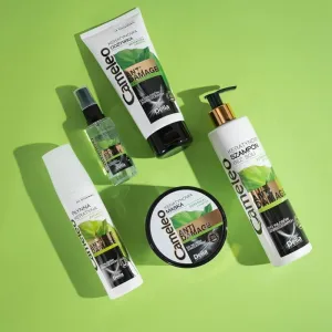Delia Cosmetics Cameleo BB keratínový šampón pre poškodené vlasy 250 ml