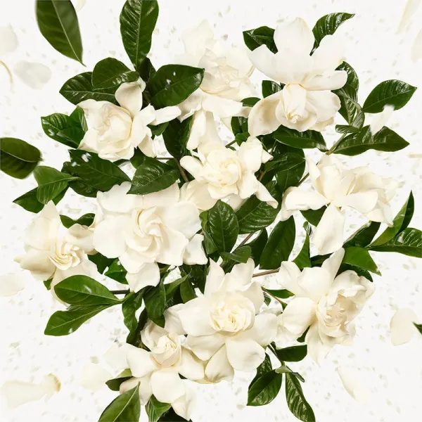 Gucci Flora Gorgeous Gardenia parfumovaná voda pre ženy Refill 150 ml