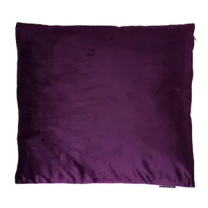 Dekorační polštář Gold Velvet, 45 x 45 cm, fialovo-zlatý