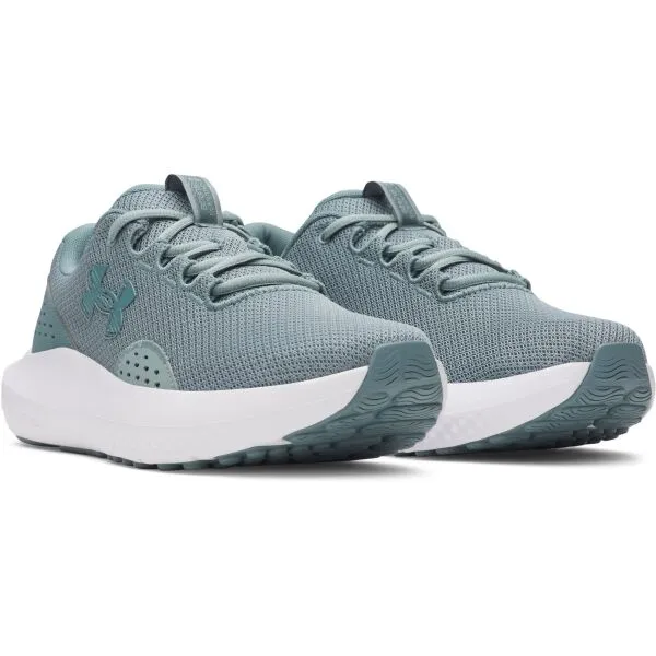 Men's shoes Under Armour Charged Surge 4