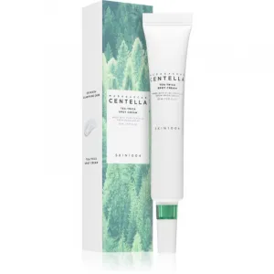 SKIN1004 Madagascar Centella Tea-Trica Spot Cream lokálna starostlivosť proti akné s upokojujúcim účinkom 20 ml