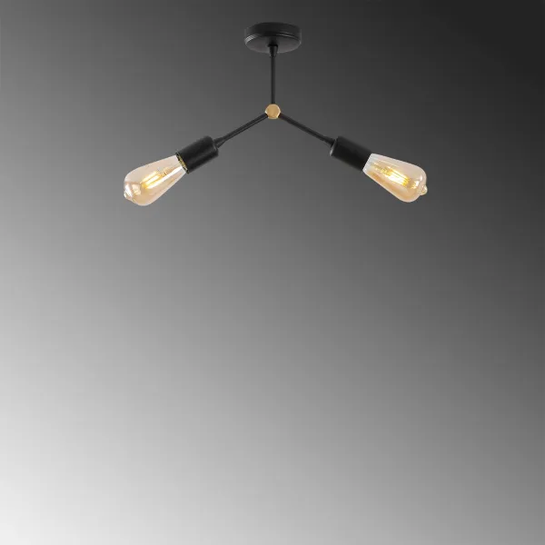 Luster Sparrow - 1252