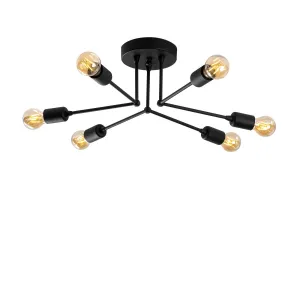Luster Sparrow - 1231